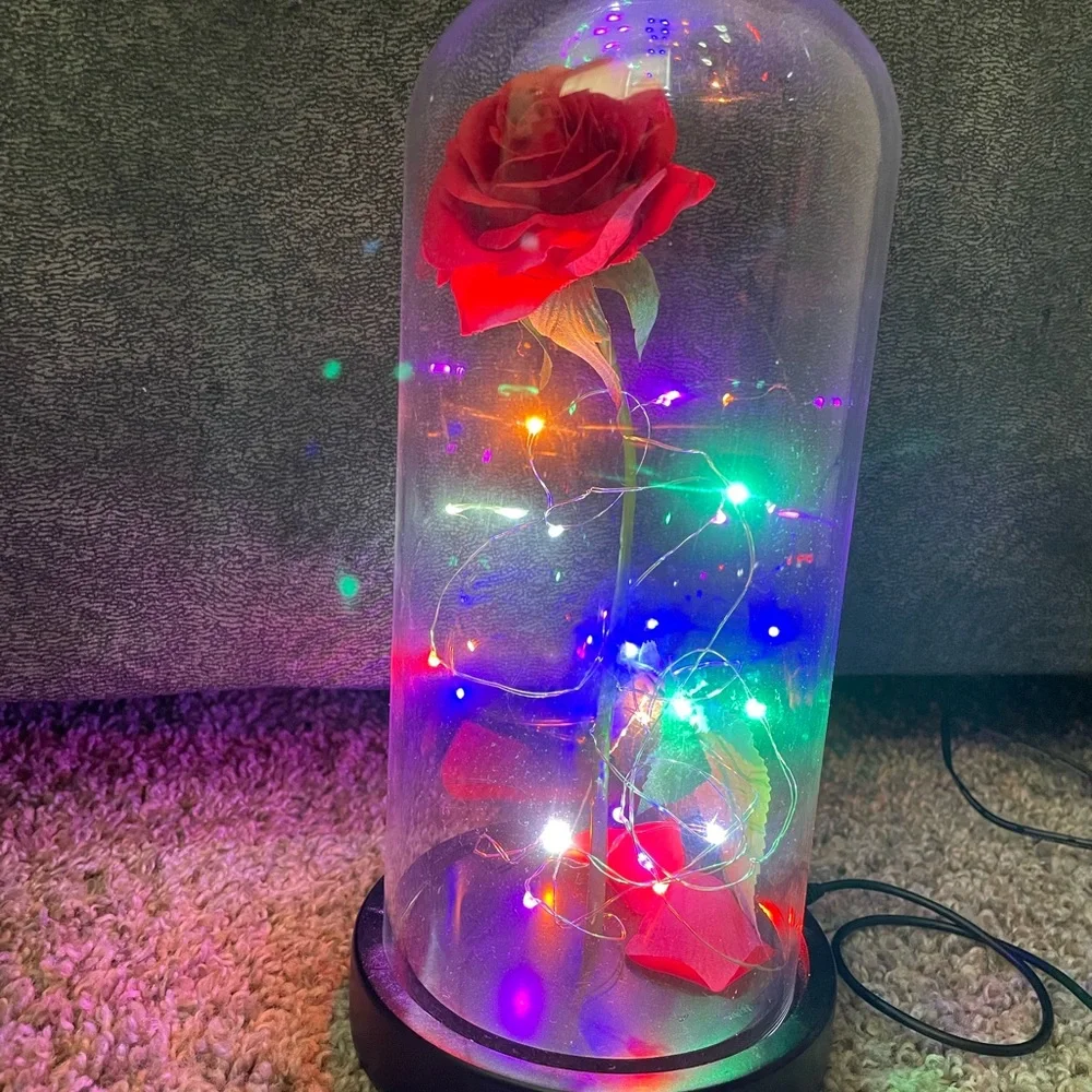 USB Beauty and the Beast  nightlight